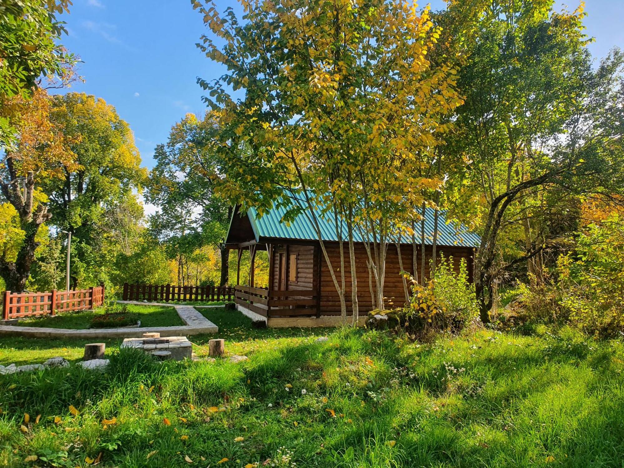 Cabin House Dubovik 采蒂涅 外观 照片