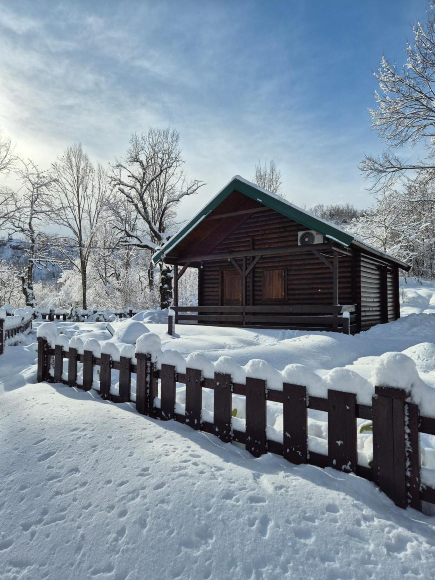Cabin House Dubovik 采蒂涅 外观 照片