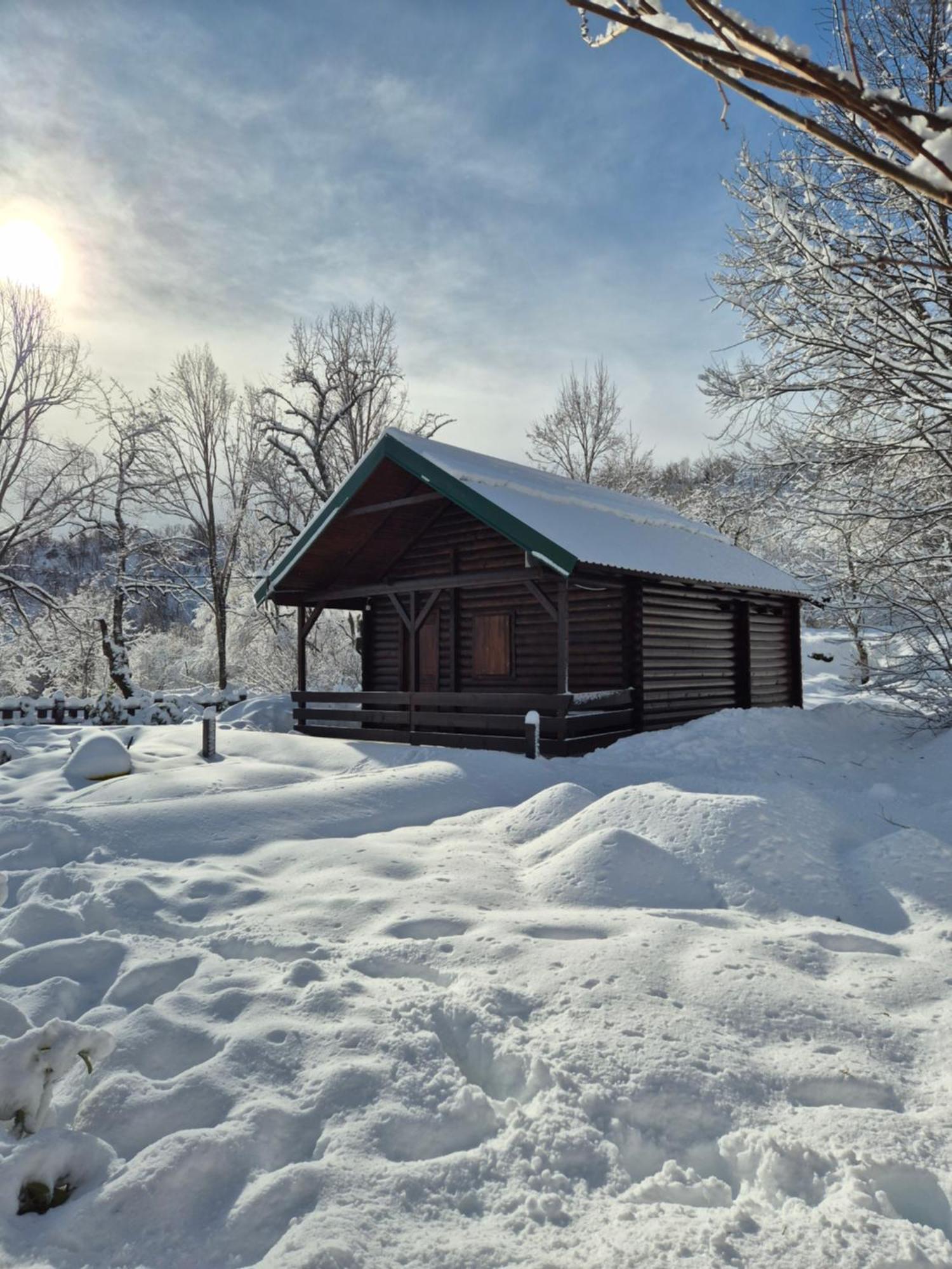 Cabin House Dubovik 采蒂涅 外观 照片