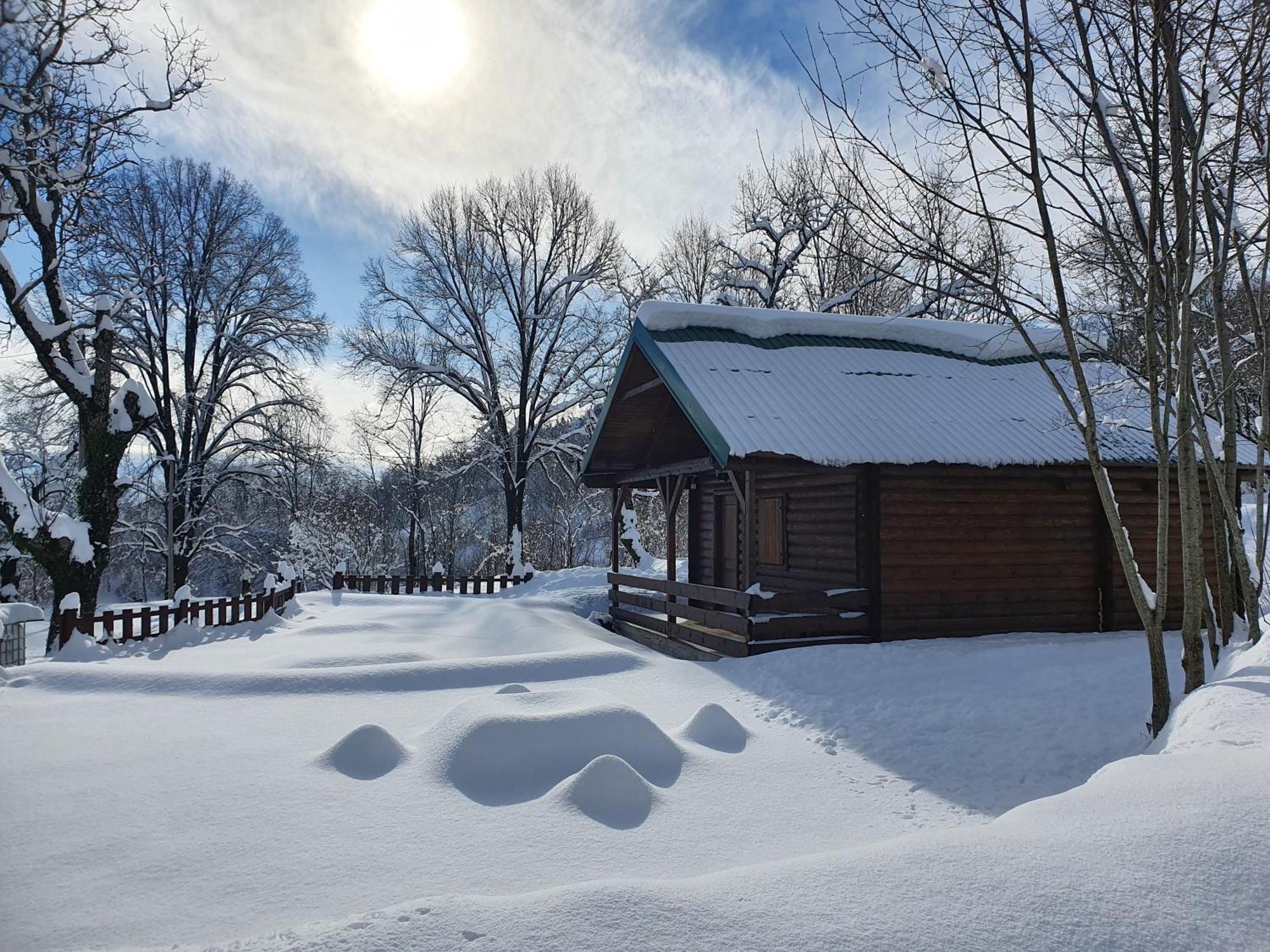 Cabin House Dubovik 采蒂涅 外观 照片